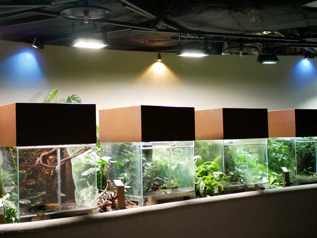 【水族館シリーズ】カワスイ 川崎水族館 ～セラフィックを使った水草の成長促進効果の実験を行いました～