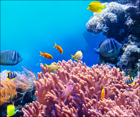 AdobeStock_334957871_1_1_560x. AdobeStock_334957871_1_1_560x.