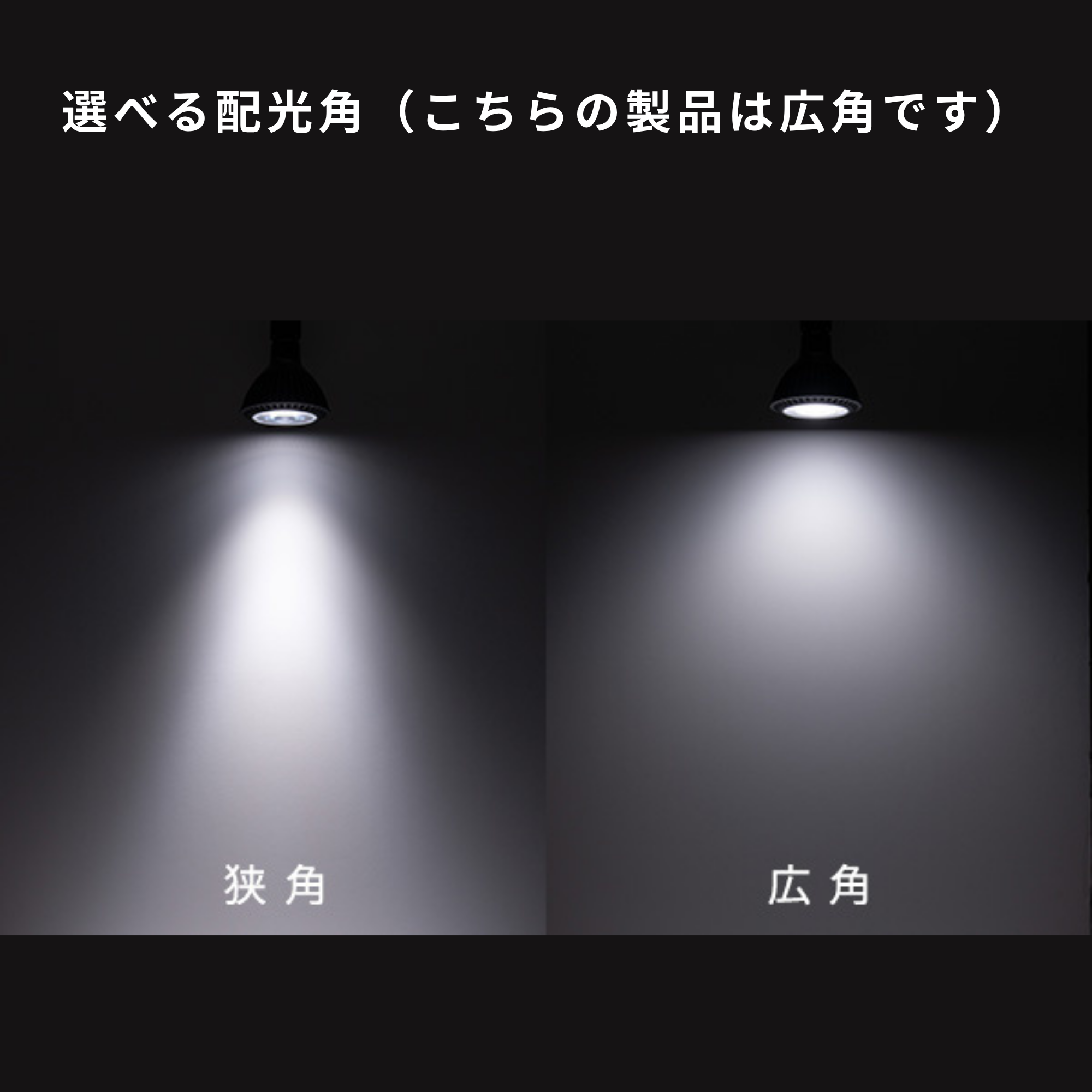 広角タイプ 80度】CERAPHICいきもの電球 – CERAPHIC（京セラ株式会社）