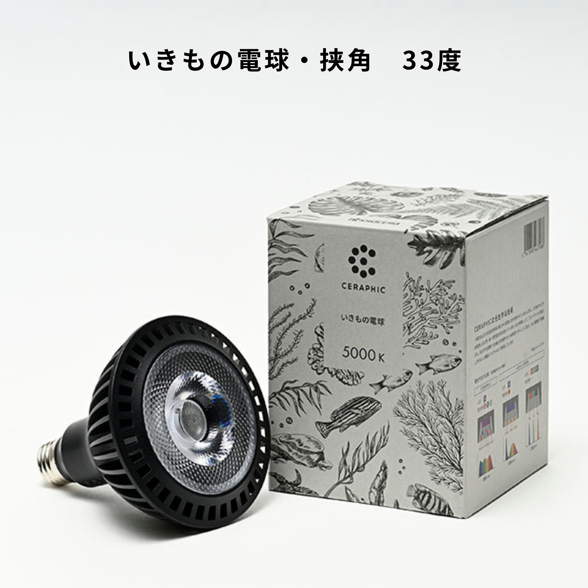 いきもの電球＋E26ソケット　CERAPHIC 5000K 23W 電球型照明 挟角タイプ 33度】CERAPHICいきもの電球 – CERAPHIC（京セラ株式会社）