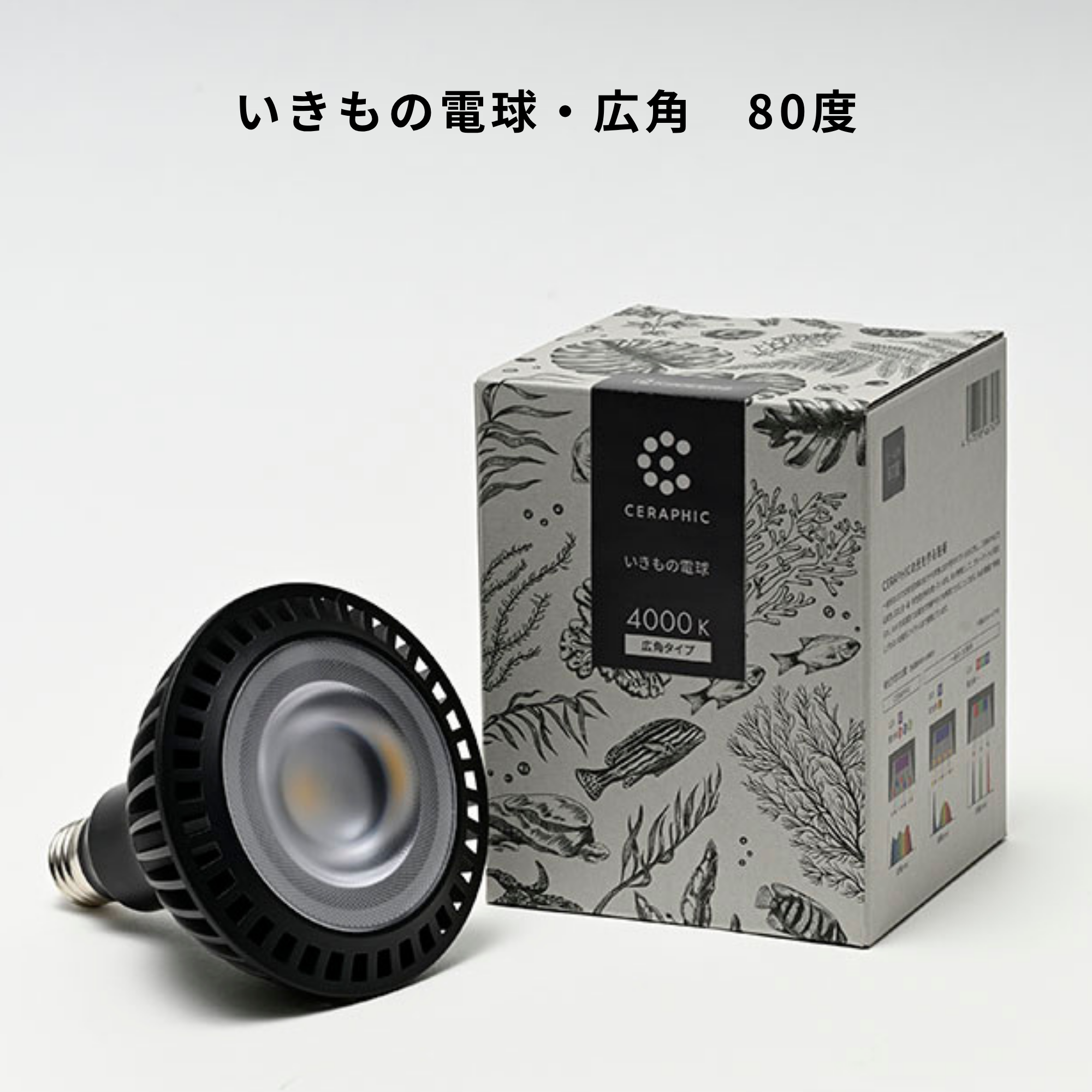 広角タイプ 80度】CERAPHICいきもの電球 – CERAPHIC（京セラ株式会社）