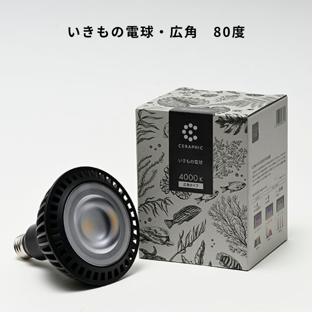 CERAPHICオンラインストア（直営：京セラ株式会社） – CERAPHIC