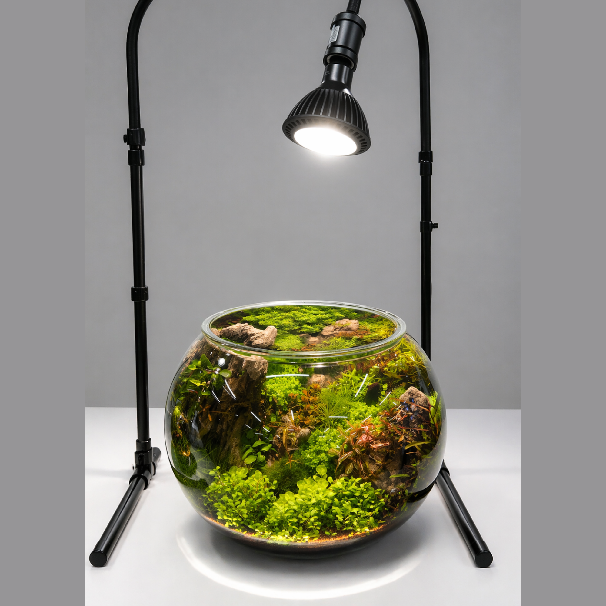 【美品】京セラ CERAPHIC いきもの電球　5000K 23W 水草観葉植物 挟角タイプ 33度】CERAPHICいきもの電球 – CERAPHIC（京セラ株式会社）