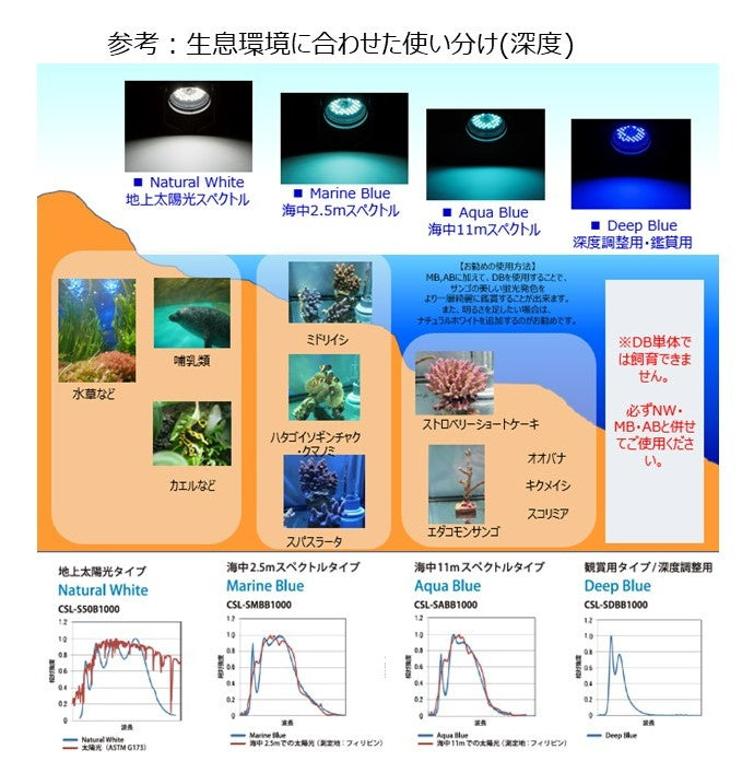 プロも使う水族館照明_京セラLED照明_CERAPHIC(セラフィック 